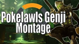 Pokelawls Genji Montage  Overwatch  Beta [upl. by Ilocin]