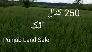 Agricultural land for sale in attock  Punjab land sale  sasti Zameen in Punjab [upl. by Sterner]