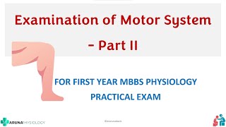 Examination of Motor System Part II  Clinical Examination Physiology Practicals  First year MBBS [upl. by Annavoeg159]