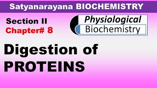 Chp8 Satyanarayana Biochemistry  Protein Digestion and Absorption  Dr Asif Lectures [upl. by Grey56]