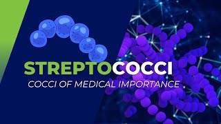 Streptococci of Medical Importance S pyogenes S agalactiae S pneumoniae and others [upl. by Gen]