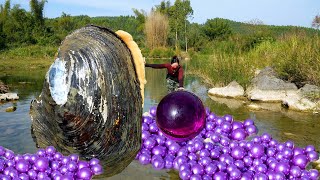 😱😱Freshwater giant clams nurture enchanting purple pearls no less impressive than saltwater pearls [upl. by Ellicul]