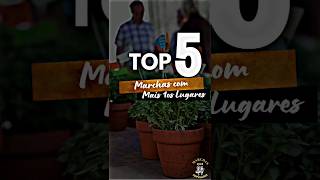 Top 5 das Marchas de Lisboa com mais prémios de primeiros lugares 🥇🥁 marchaspopulares [upl. by Ardell]