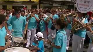 Los Muchachos au Festival Muchas Bandas 2015 ArgelèsGazost quotLes sardinesquot [upl. by Rephotsirhc]