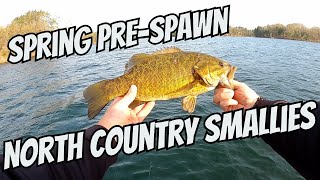 Spring SMALLMOUTH FISHING Putting the Steez AGS MML spinning rod to work [upl. by Emarej]