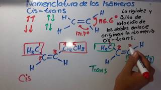 Isomeros Cis  Trans  Química Orgánica [upl. by Llerej154]