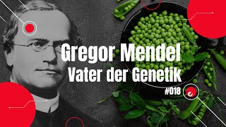 Gregor Mendel  Vater der Genetik  Alex Smorgasbord [upl. by Kitty870]