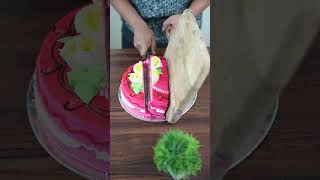 Cake 🎂 Cutting Life Hack 😀 shorts funny comedy ashortaday minkutinku lifehacks [upl. by Ennaeerb]