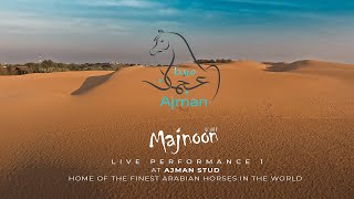 Majnoon  Live Performance 1 at Ajman Stud  Home of the finest Arabian horses in the World [upl. by Fokos574]