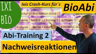 Nachweisreaktionen 1 Nachweis von Glukose Protein Eiweiß Stärke  Abiturtraining 2 Praxisteil [upl. by Airehc]