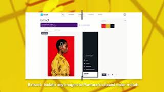 Pantone Connect Premium Extract Colours from images [upl. by Adnohr]