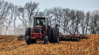 INTERNATIONAL HARVESTER 1486 Pulling 26ft IH Disc [upl. by Raychel904]