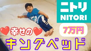 キングサイズベッドが７万円！ニトリの組み立て式ベッドが安い ズレない クイーン ダブルベッド連結 ヘッドレスsd nv oy001 oyベッド マットレス ニトリおすすめ 買うべき商品 [upl. by Anileh]