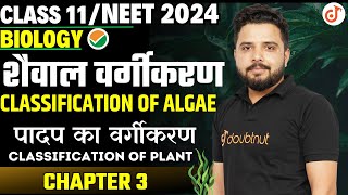 शैवाल वर्गीकरण Classification of Algae  Plant Kingdom Chapter 3  Class 11NEET Biology Yogesh Sir✔ [upl. by Chud121]