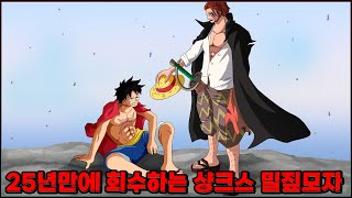 원피스의 정체를 25년간 속였던 배신자 [upl. by Ahsiuqram788]