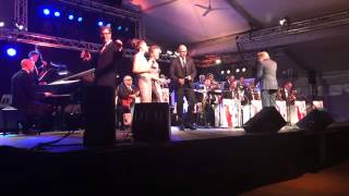 Pepe Lienhard Big Band In The Mood 2014 [upl. by Eniotna734]