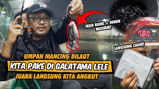 4 TAHUN GA PERNAH LULUS UMPAN SOTONG BIKIN STRIKE TERUS GA KALAH SAMA BULUS EKSPERIMENUMPAN 🔥🔥🔥 [upl. by Eelinej]