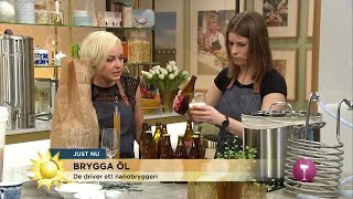 Så brygger du öl hemma i köket  Nyhetsmorgon TV4 [upl. by Caresa]