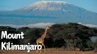 Conquering Mount Kilimanjaro A Journey to the Roof of Africa [upl. by Kimitri747]