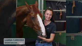 Show Groom Luana Cardoso about the Ashford Farm horses results during the EEF Series Peelbergen [upl. by Onitsirc]