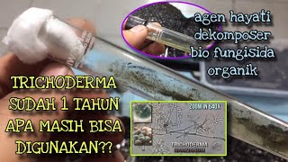 UPDATE TRICHODERMA USIA 1 TAHUN MASIH BISA DIGUNAKAN [upl. by Barron]