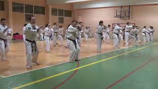 SEMINAR OF THE POLISH IFK KYOKUSHIN KARATE ORGANIZATION LUBENIA 2018 [upl. by Hbaruas]