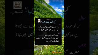 Kya aap jante ho viral video  viral short  urdu quotes [upl. by Ddej]