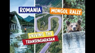 TRANSFAGARASAN  THE WORLDS GREATEST ROAD AND CAMPING WITH BEARS [upl. by Ennovihc]