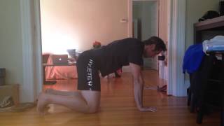 Bird Dogs Reverse Crunch and Hardstyle plank [upl. by Philander]