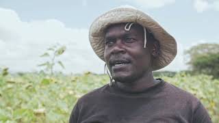 BIDCO AFRICA FARM NAKURU DOCUMENTARY [upl. by Eiveneg]