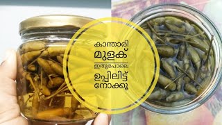 Kanthari Mulaku Uppilittathu  Chilli PickleSimplyBeWith Apshana [upl. by Tara]