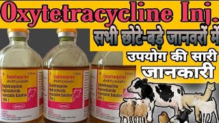 Oxytetracycline Injection uses in Hindi veterinarymedicinereviewhindi Dosage side effect price [upl. by Naresh]