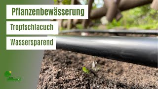 Tropfschlauch von Gardena Gartenbewässerung bequem Blumen amp Pflanzen bewässern MicroDripSystem [upl. by Am577]