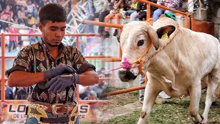 ¡Qué buen agarrón se dieron TORO y JINETE Grullito de Ticumán VS Cara de Niña del Compa Edgar [upl. by Joao233]