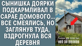 Тайна сарая что нашел сын доярки заставившее деревню содрогнуться [upl. by Burgener]