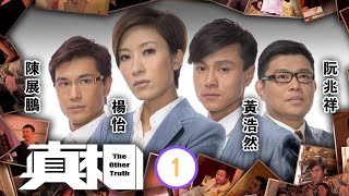 TVB法律劇  真相 0125  陳展鵬思傑拯救 被虐母子  楊怡、黃浩然、陳展鵬、阮兆祥、唐詩詠、馬國明  粵語中字  2011 [upl. by Aik]