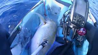 FEELFREE NOMAD KAYAK FISHING TREVALLY [upl. by Bourn503]