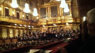 Jasminka Stancul  Wiener Symphoniker  Musikverein 2011 [upl. by Eidnas623]