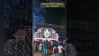 തെച്ചിക്കോട്ടുകാവിലെ പൂരകാഴ്ച Thechikottukavu pooram temple beauty shorts shortfeed [upl. by Radloff]