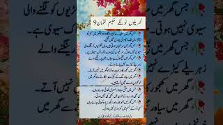 Gharelo totkay Hakeem luqman allamaiqbal quotes poetry fashiontrends bestpoerty summerfashion [upl. by Hazaki697]