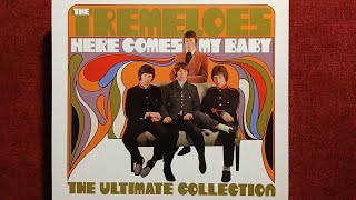 THE TREMELOES  HERE COMES MY BABY 1967 [upl. by Jarrow]