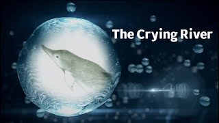 Yangtze The River of Life EP 1 The Crying River [upl. by Clarhe]