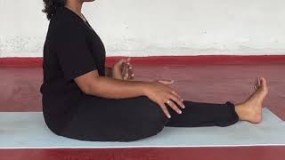 Lower Body Joints  Pawanmuktasana Series 1 [upl. by Ahtram]