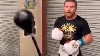 Canelo Ready For Rocky Fielding [upl. by Brenn486]