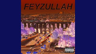 Feyzullah [upl. by Sinned]