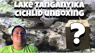 Lake Tanganyika Cichlid Unboxing [upl. by Moriyama]