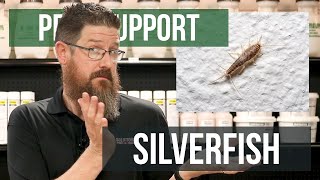 How Did I Get Silverfish  Pest Support [upl. by Vashtee]