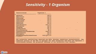 Interpreting a Urine Culture amp Sensitivity [upl. by Macguiness946]