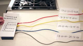 CompTIA Network Certification License to Tech Ep 006 Hubs vs Switches [upl. by Liberati]