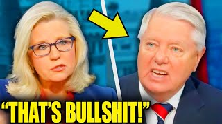 Lindsey Graham SCREAMS At Liz Cheney During On Air COLLAPSE [upl. by Charmine]